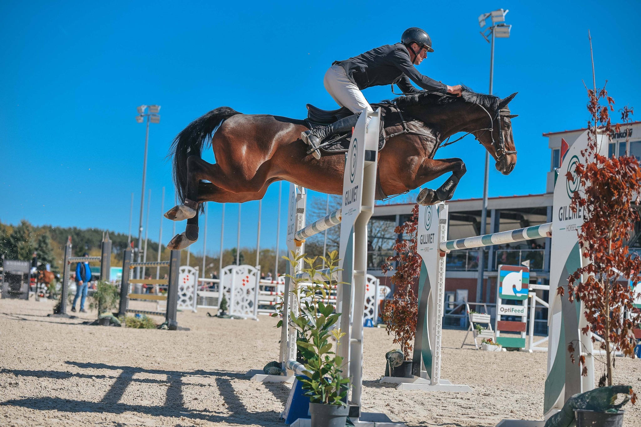 Ilustracja do informacji: Międzynarodowe zawody w skokach przez przeszkody i powożeniu
