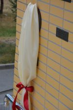 ???: Photo 1