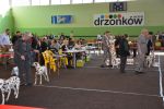 ???: Foto 35
