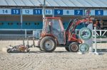 Miniatura zdjęcia: Fotka 17