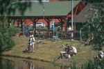 Miniatura zdjęcia: Fotka 11