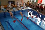 Miniatura zdjęcia: Foto2