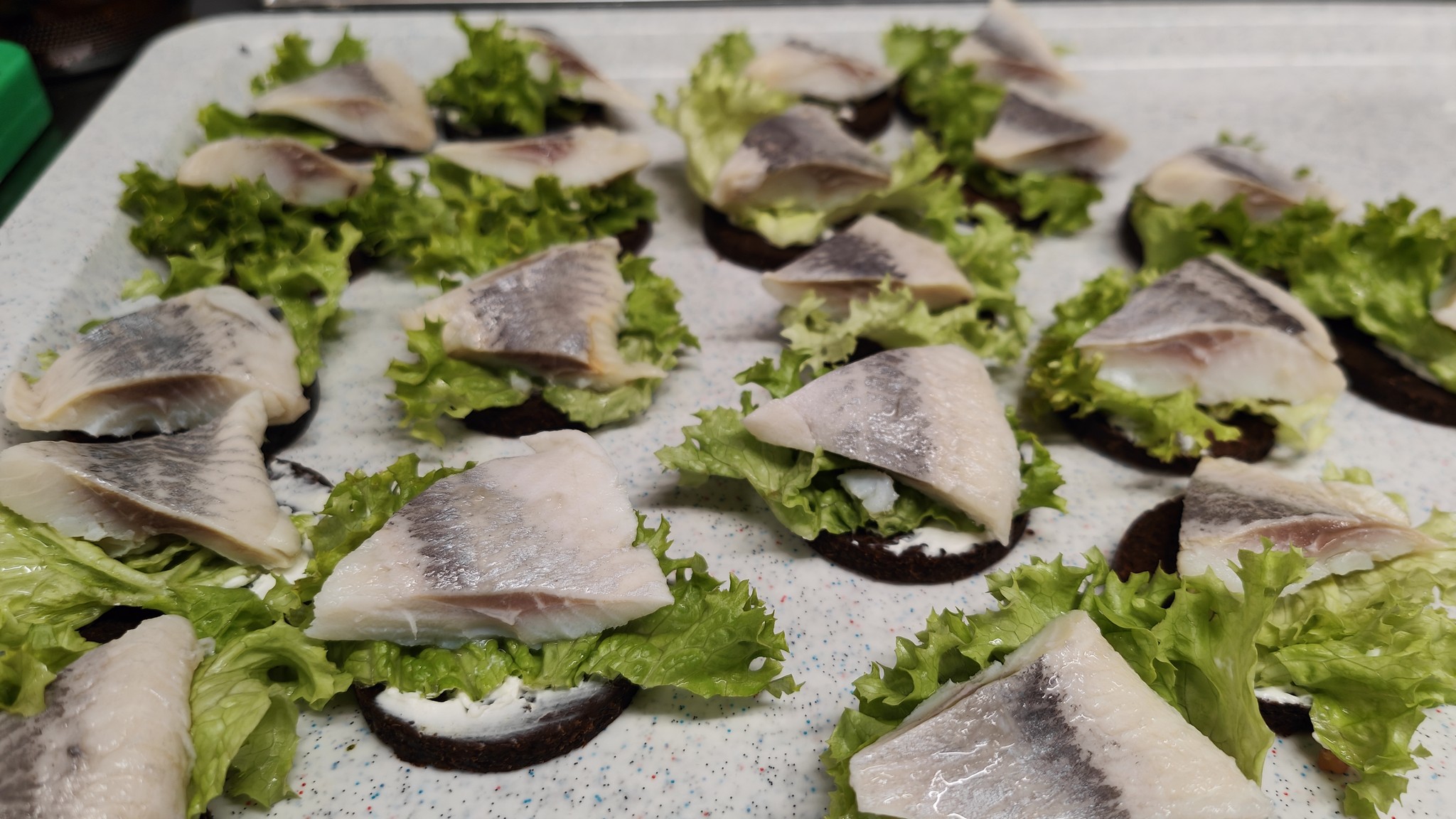 Miniatura zdjęcia: Fotka 6